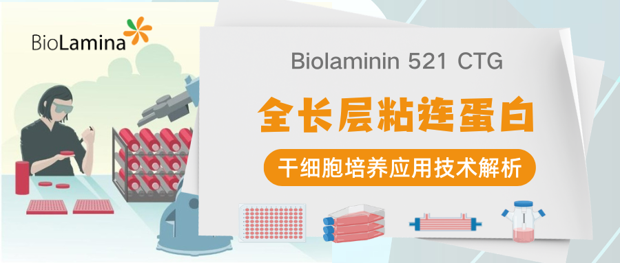Biolaminin 521 CTG细胞治疗级别培养基质｜干细胞培养应用技术解析