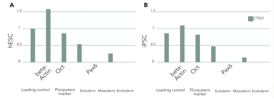 hESCs和hiPSCs中在CT521上培养多能性和分化标记物表达正常
