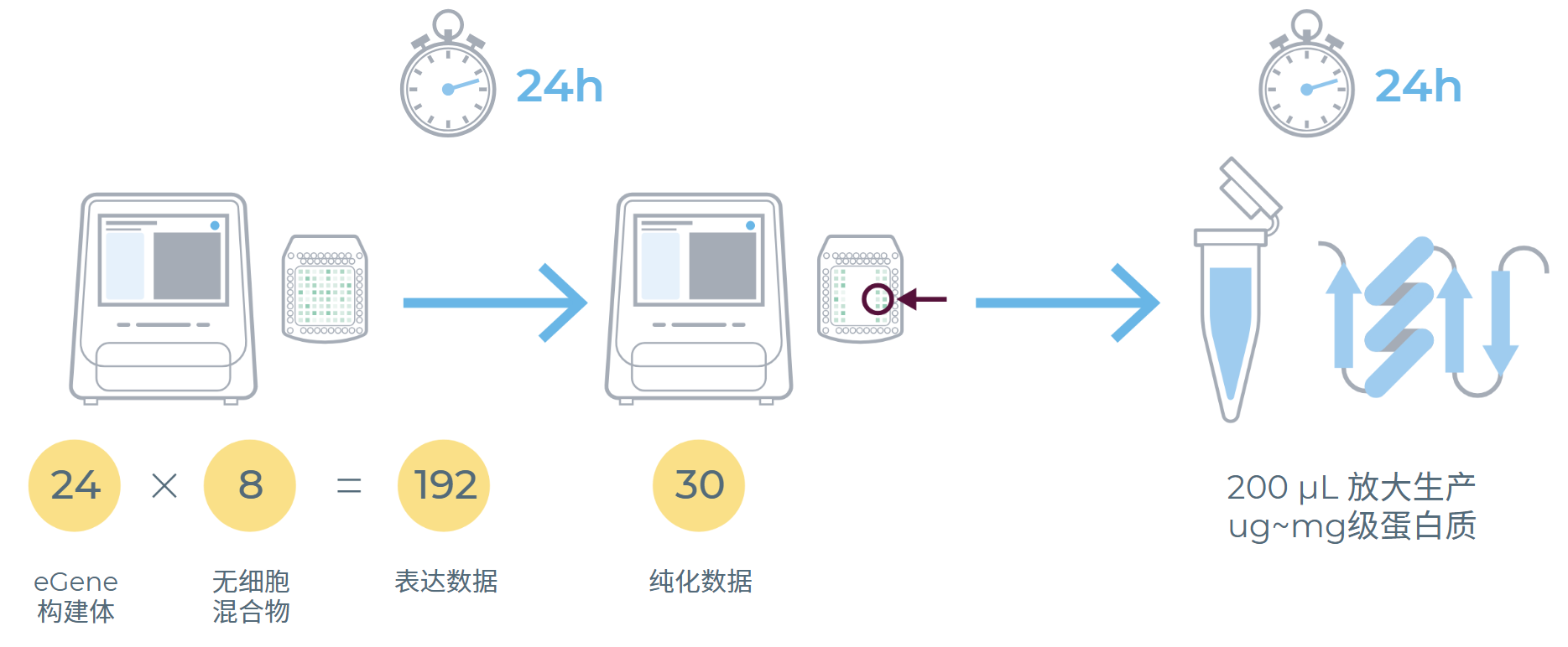 eProtein Discovery工作流程。从DNA到可溶性蛋白只需48小时。 eProtein Discovery工作流程。从DNA到可溶性蛋白只需48小时。