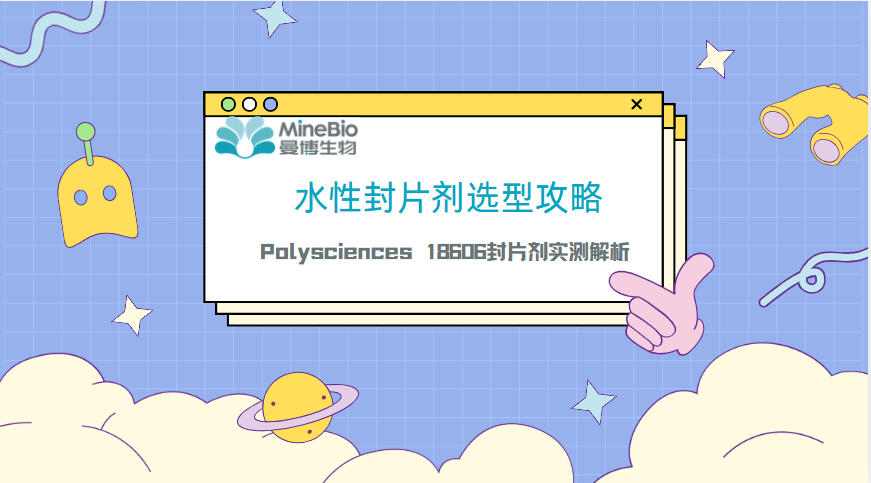 实验必备：水性封片剂选型攻略｜Polysciences 18606封片剂实测解析