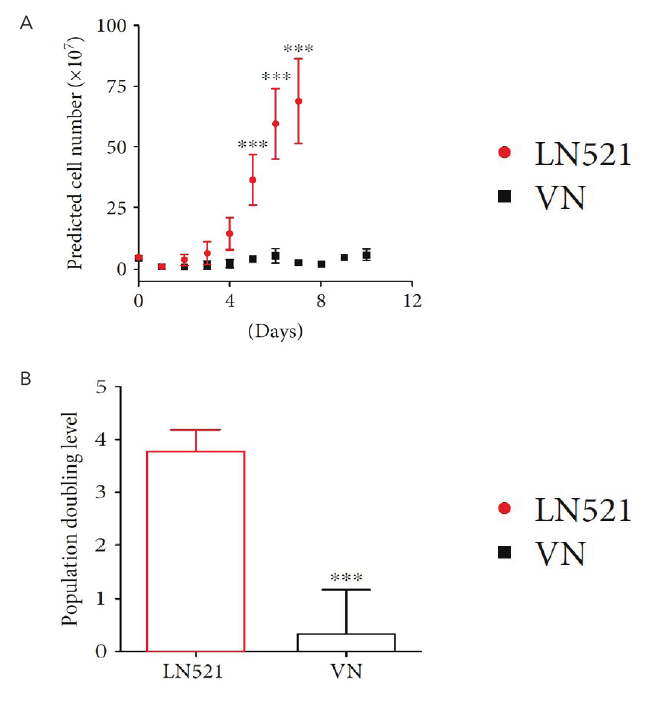 LN521较Vitronectin更支持中空纤维柱中iPSC的扩增