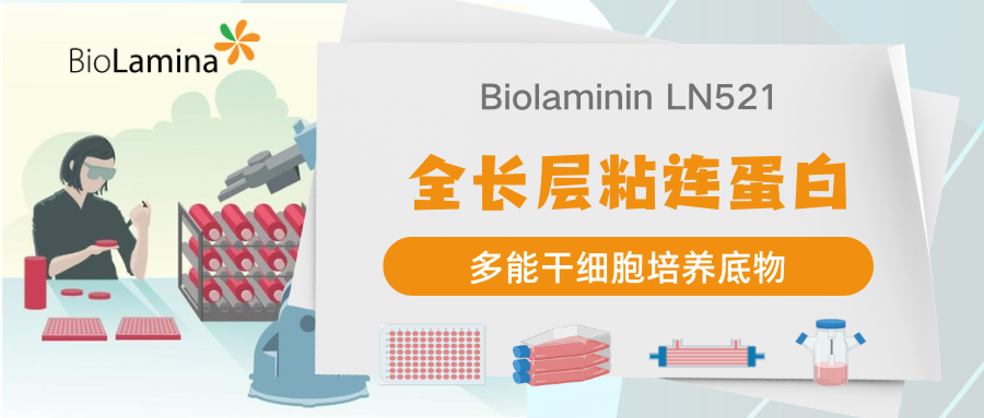BioLaminin 521多能干细胞培养底物｜多类培养场景适配应用解析