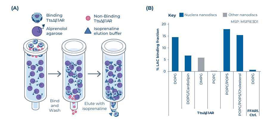图5.配体结合初步研究