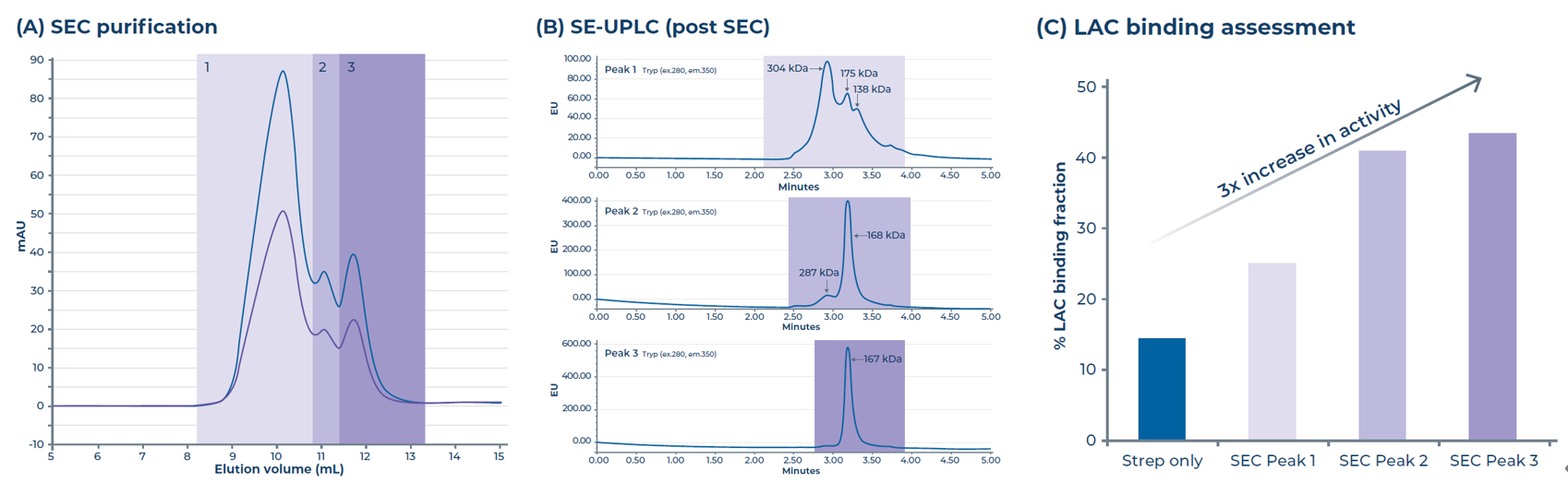 图6.ttsΔβ1AR样品质量富集