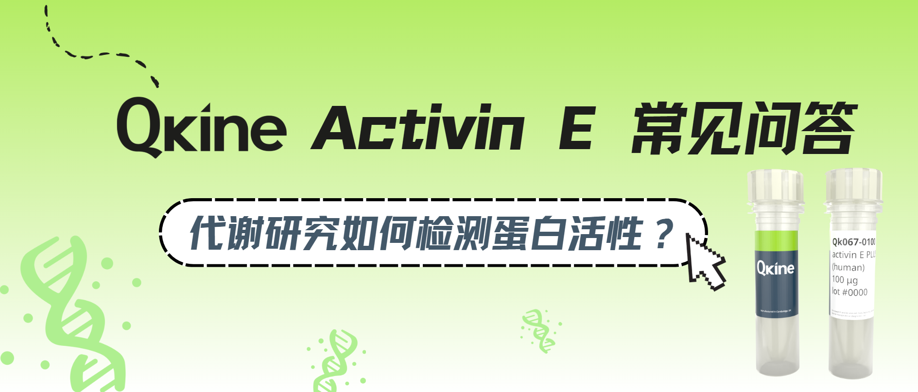 重组人激活素Activin E常见问答FAQ：代谢研究如何检测蛋白活性？