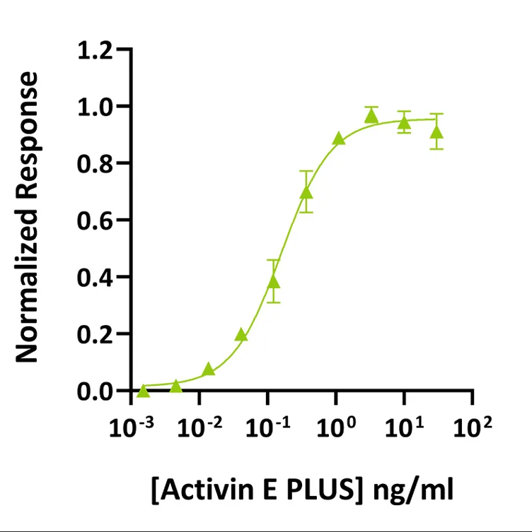 Human Activin E（Qk067）的活性