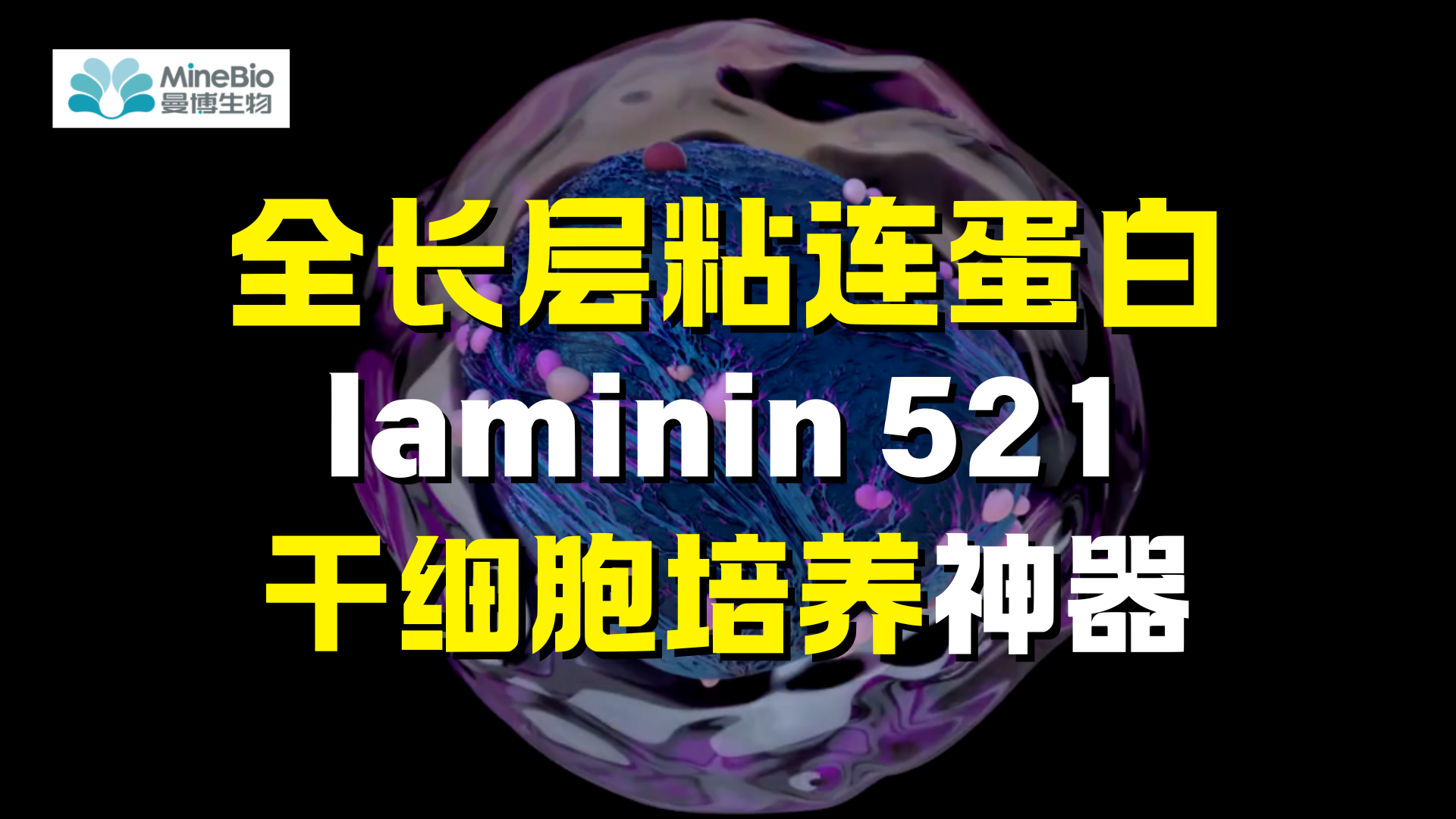 层粘连蛋白LN521解析:干细胞培养总失败?可能没选对细胞外基质