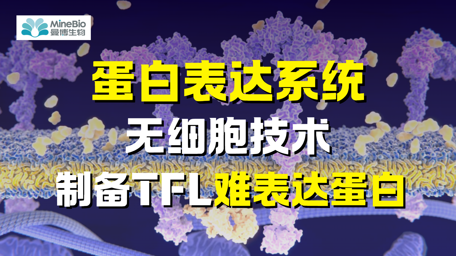 无细胞蛋白表达系统应用案例：转录因子等难表达蛋白制备与筛选