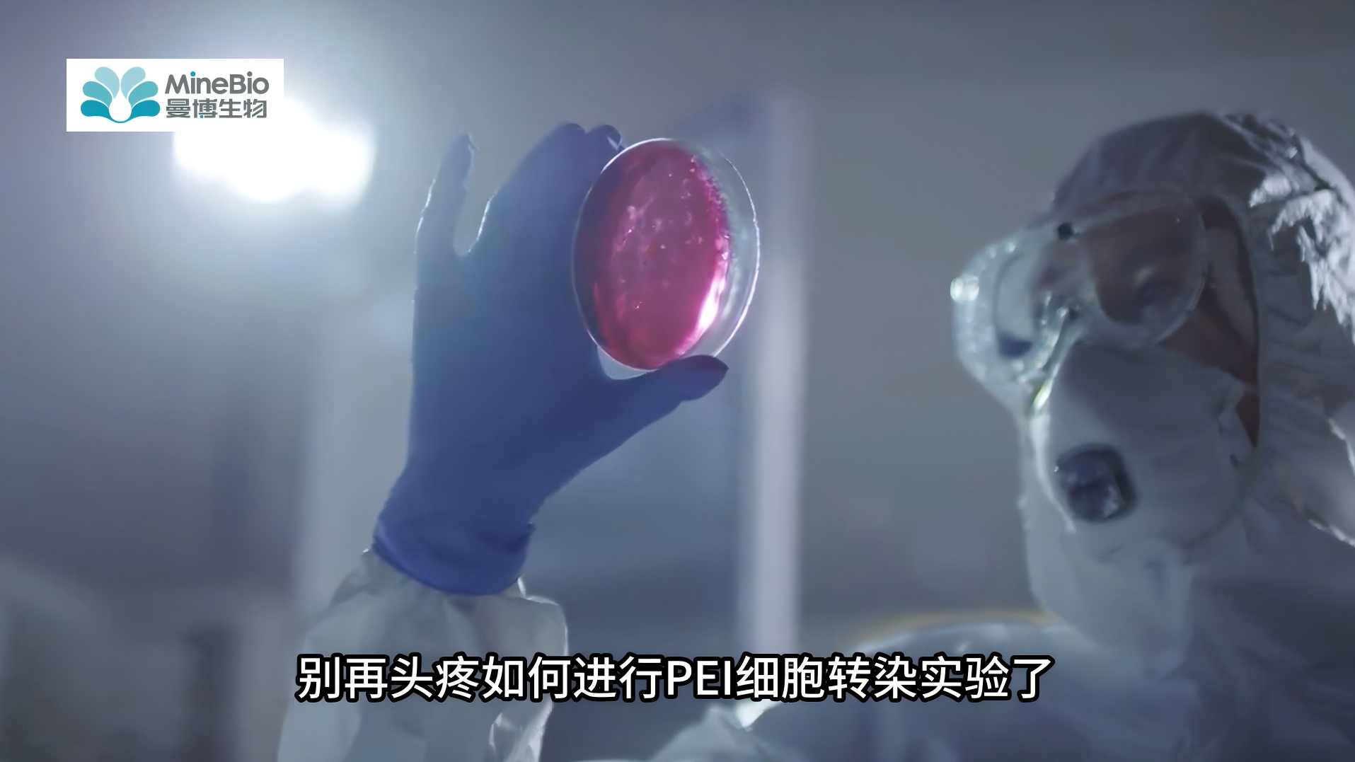Polysciences PEI转染试剂｜稳定转染细胞的实验步骤