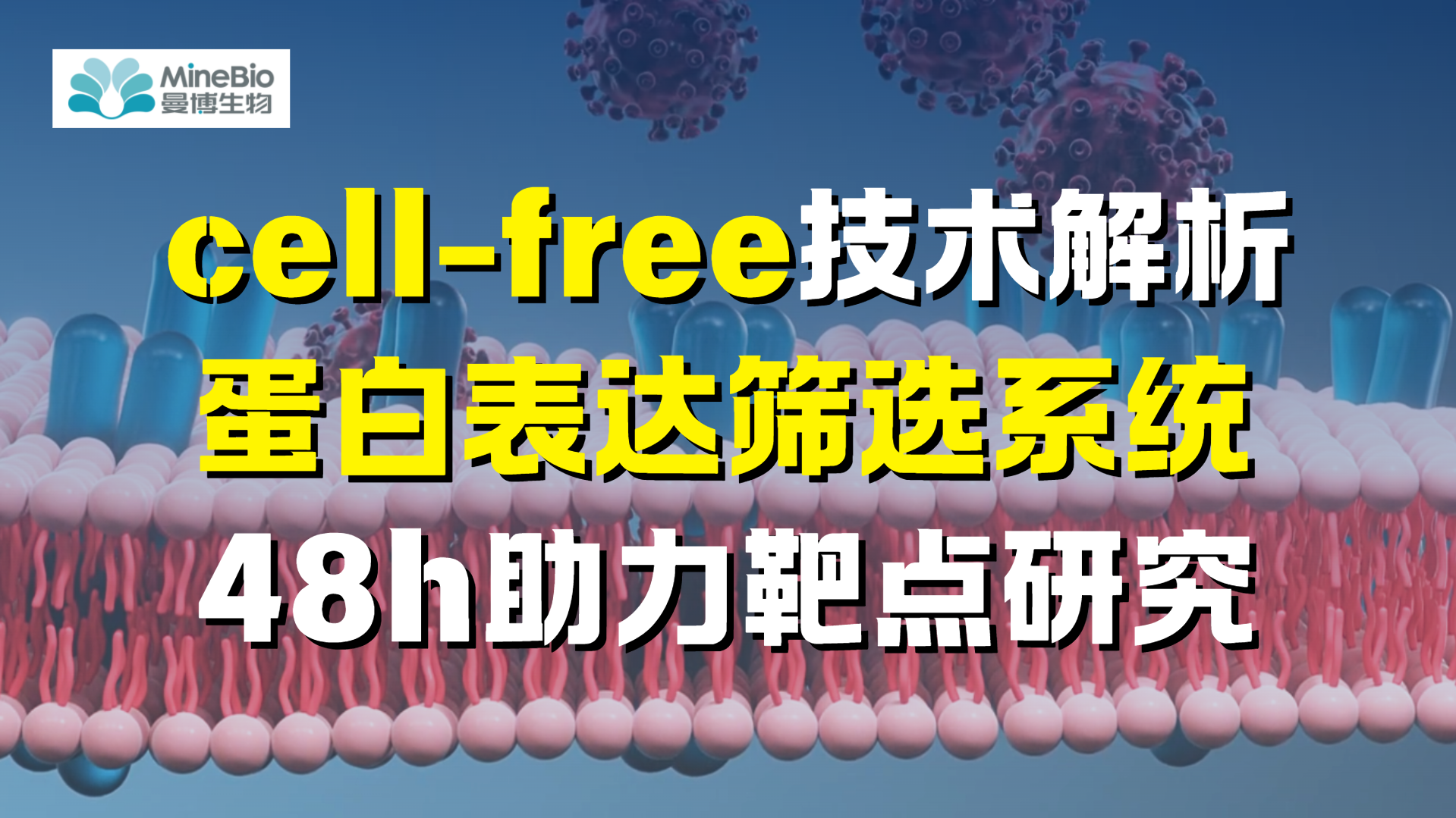 Cell-free system解析：无细胞蛋白表达筛选系统48小时助力蛋白靶点研究