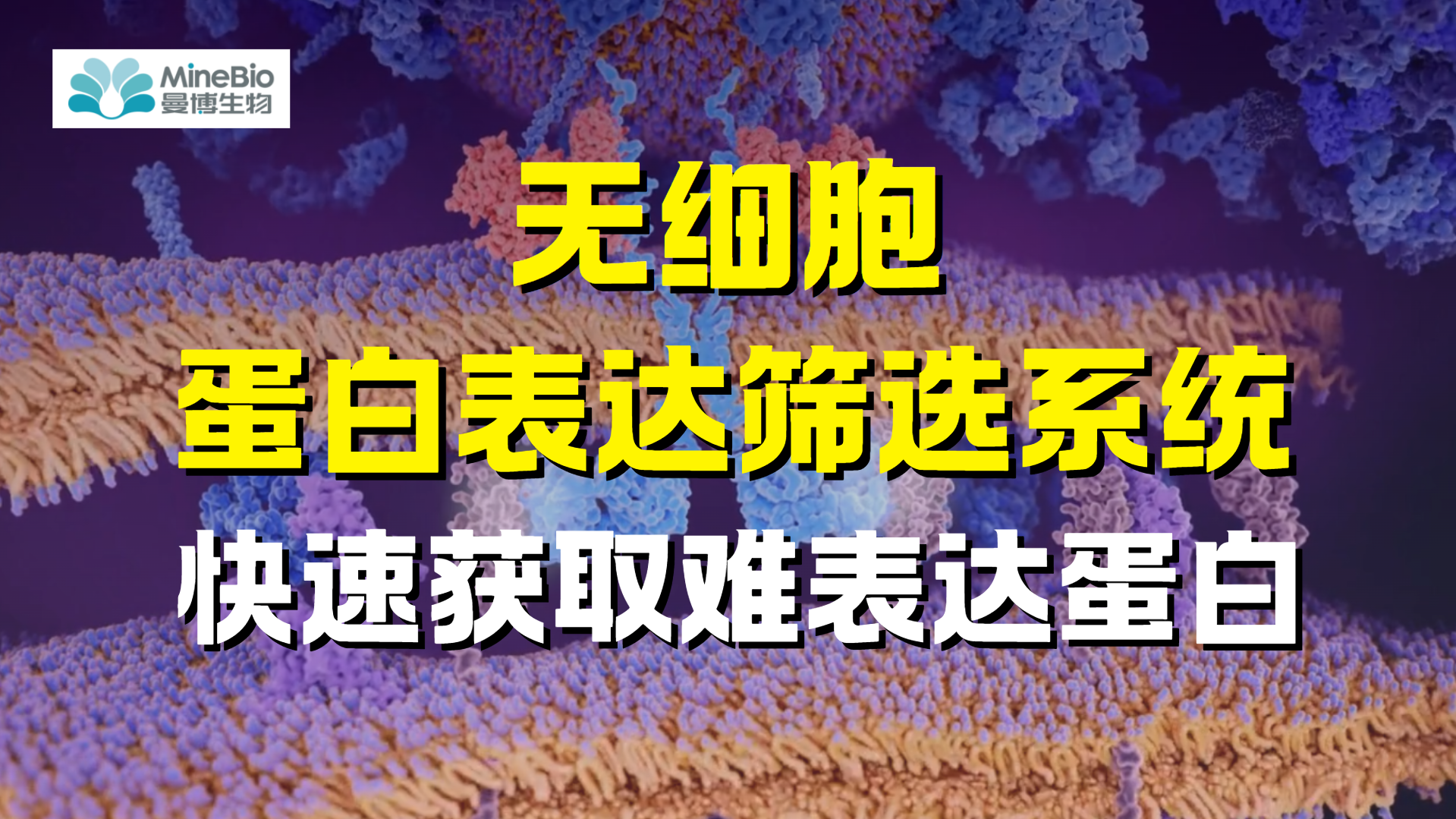 难表达蛋白快速获取？无细胞蛋白表达筛选系统破解科研瓶颈