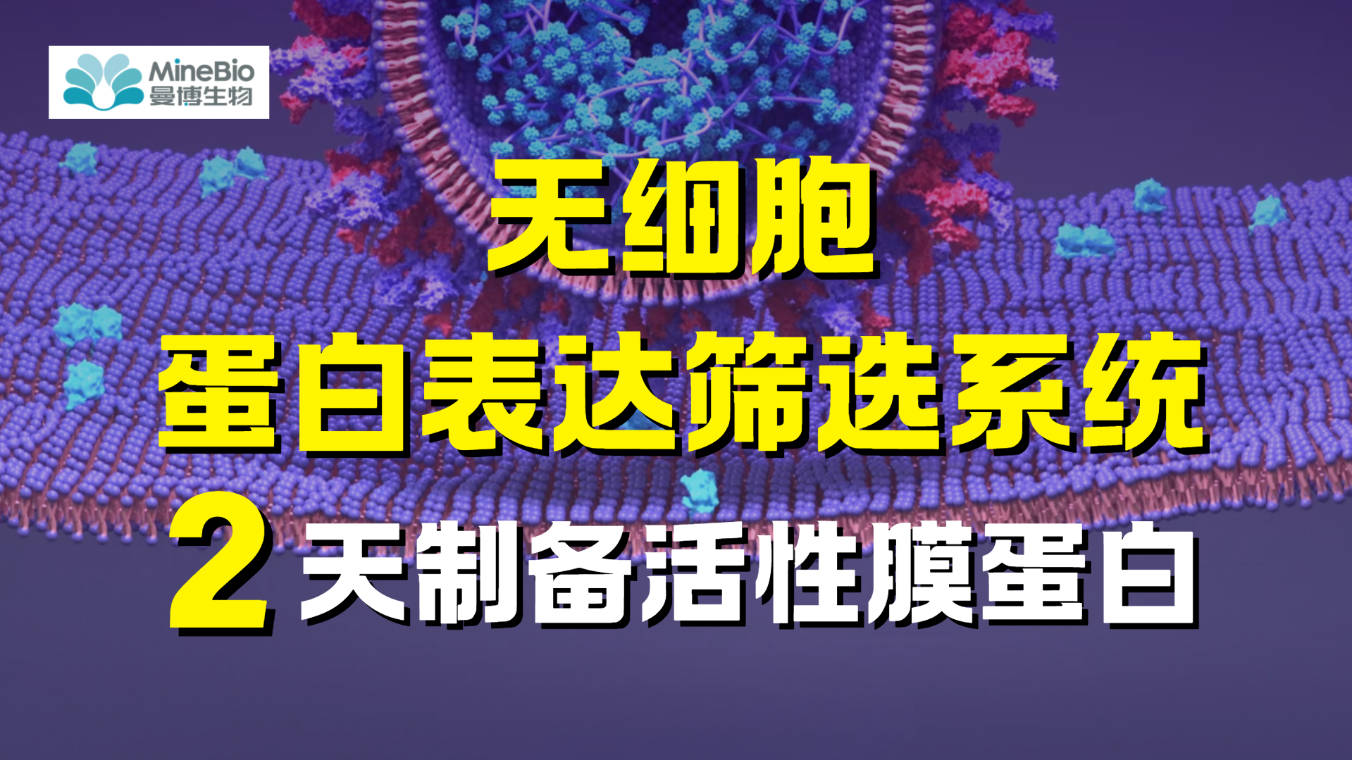 无细胞蛋白合成系统2天制备活性膜蛋白！请查收药物研发破局方案
