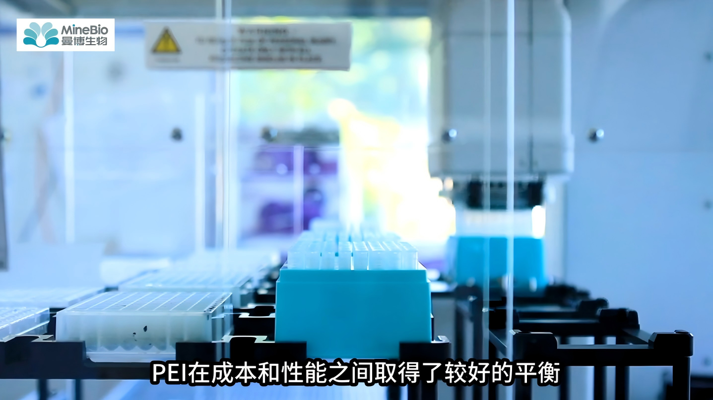 为什么全球数万篇文献都选择Kyfora by Polysciences的PEI转染试剂？