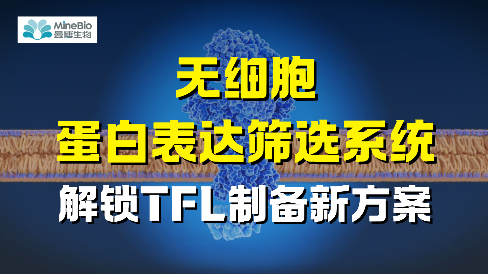 eProtein Discovery无细胞蛋白表达筛选系统，解锁TFL制备新方案