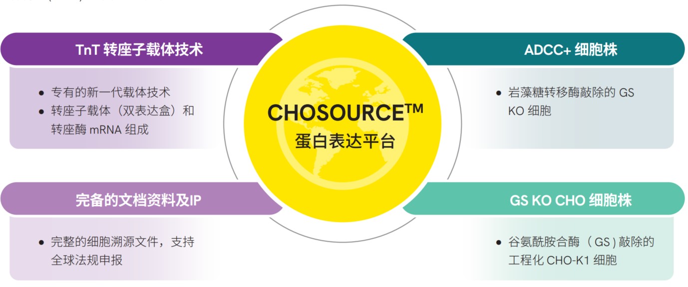 CHOSOURCE CHO细胞蛋白表达系统-曼博生物供应 CHOSOURCE CHO细胞蛋白表达系统-曼博生物供应