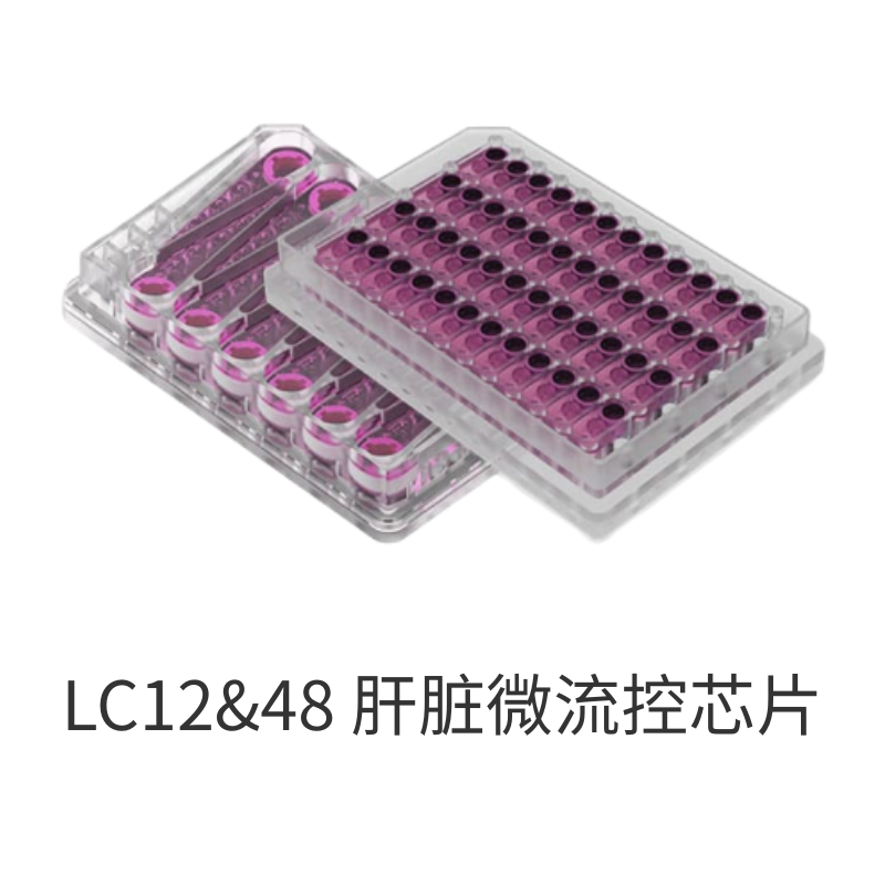 LC12&48 肝脏微流控芯片