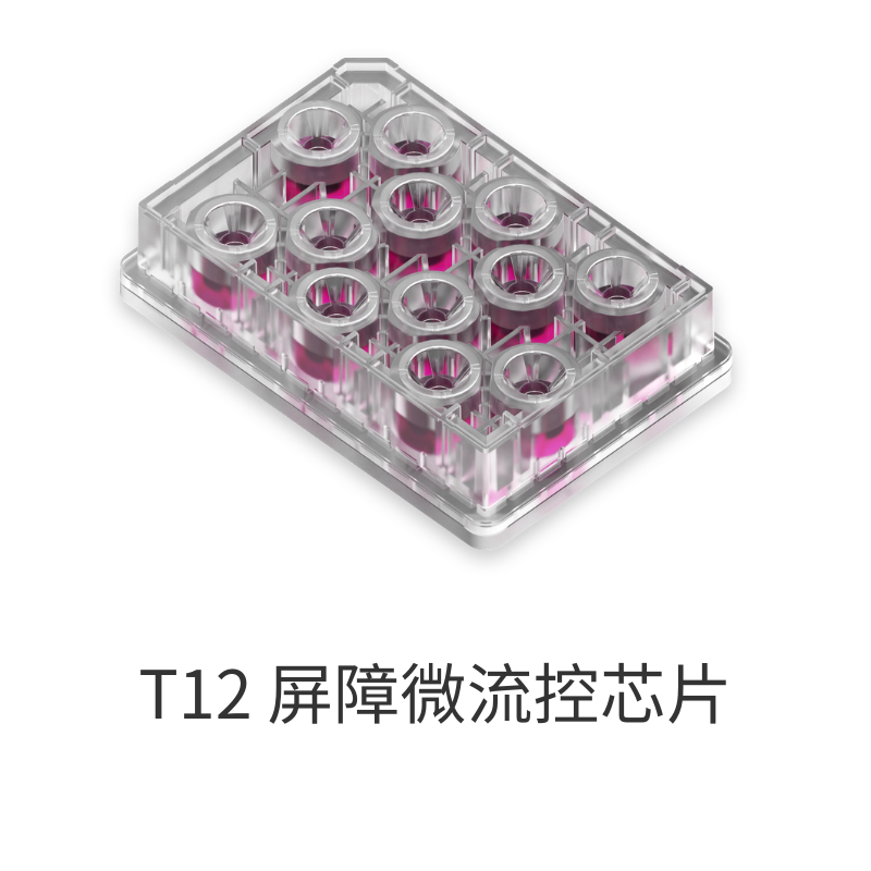 T12 屏障微流控芯片