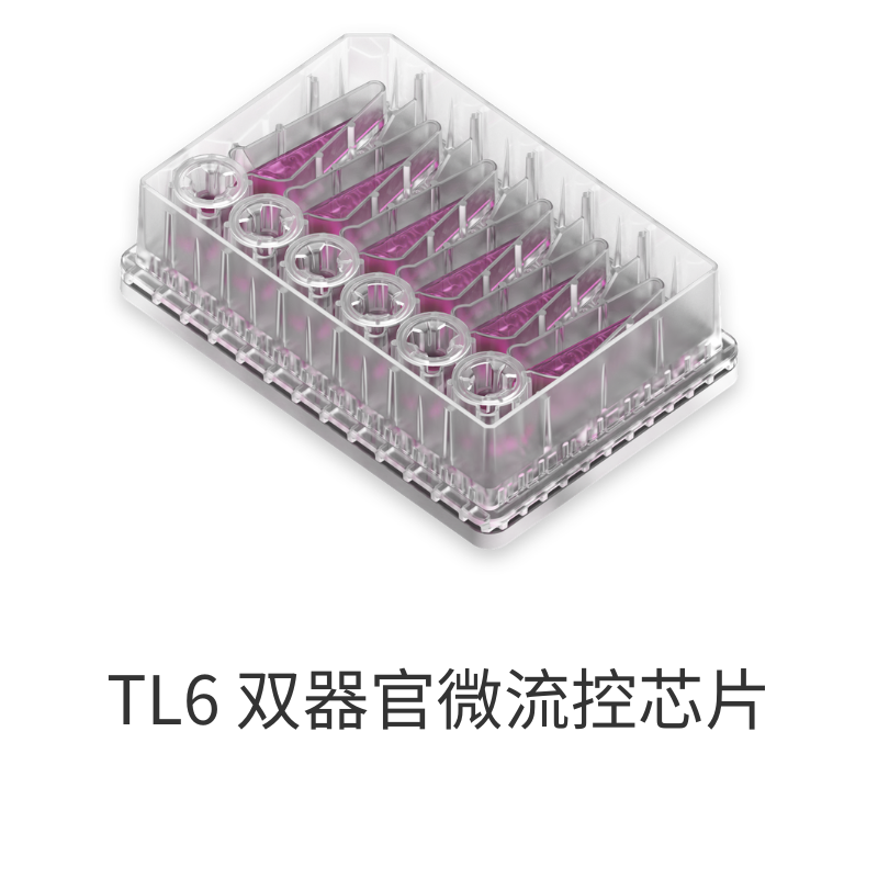 TL6 双器官微流控芯片