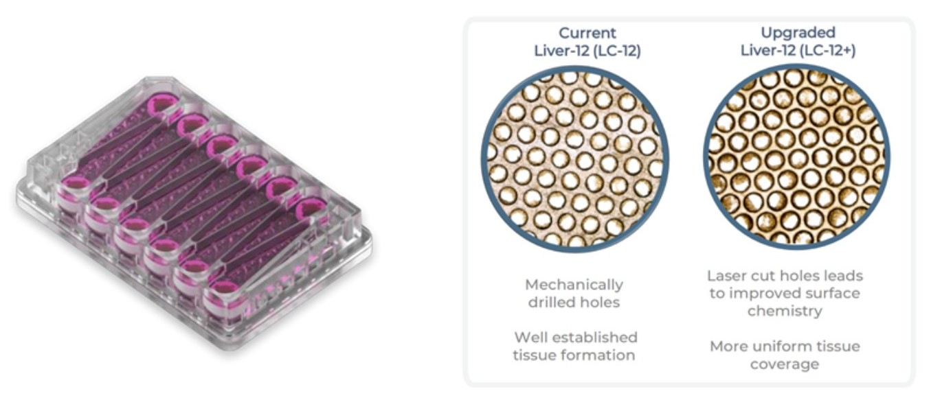 LC12(Liver-12)的升级 LC12(Liver-12)的升级