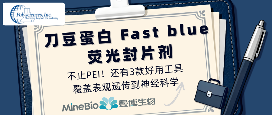 Polysciences不止PEI：3款科研人必备的经典工具，覆盖表观遗传到神经科学