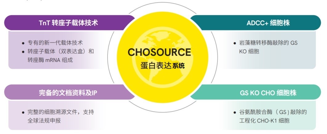 工程化CHO细胞