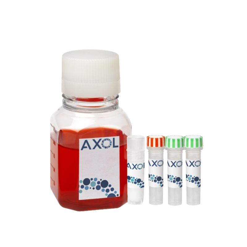 Axol iPSC衍生细胞-曼博生物供应 Axol iPSC衍生细胞-曼博生物供应