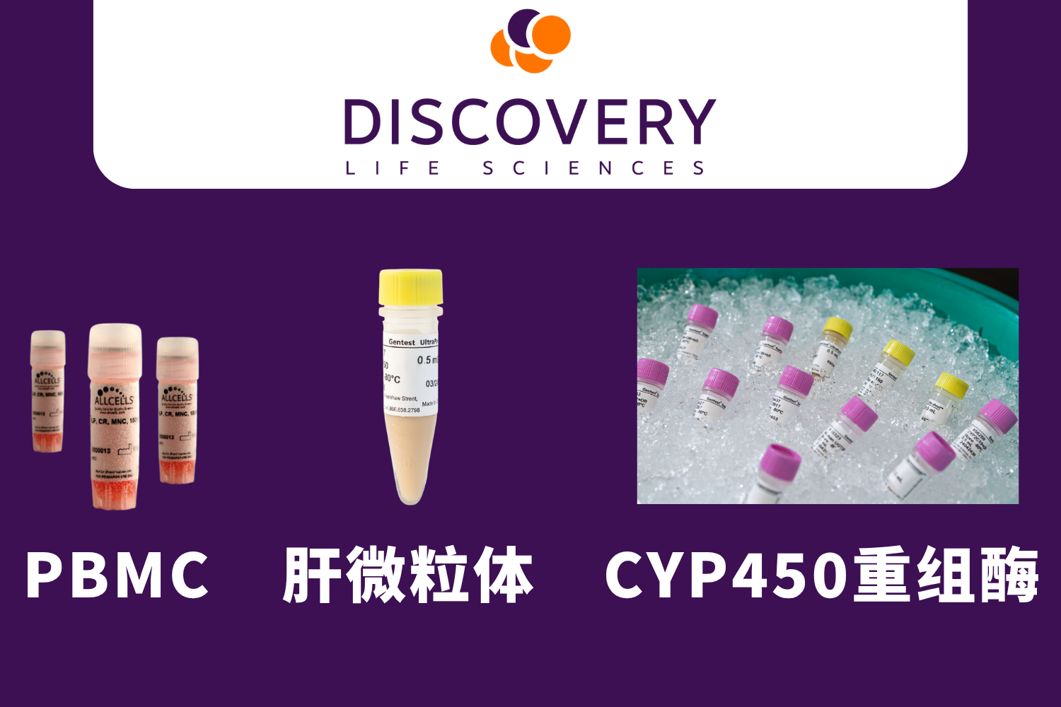 DLS旗下Gentest ADMET产品-曼博生物供应 DLS旗下Gentest ADMET产品-曼博生物供应