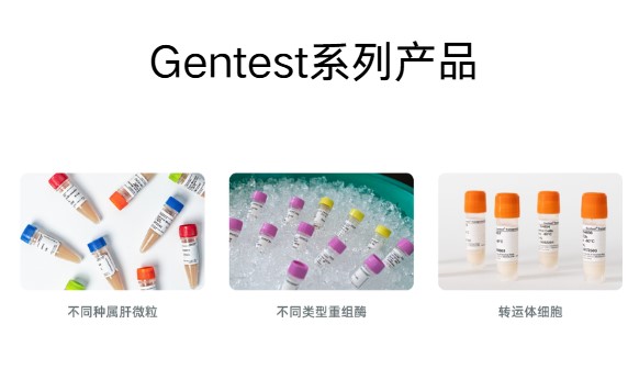 Gentest ADME试剂