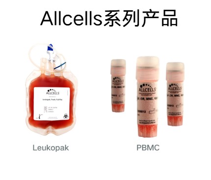 Allcells免疫细胞产品