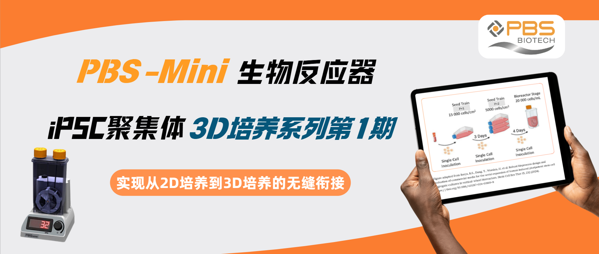 PBS Mini中iPSC聚集体3D培养系列1：从2D到3D的无缝衔接｜曼博生物