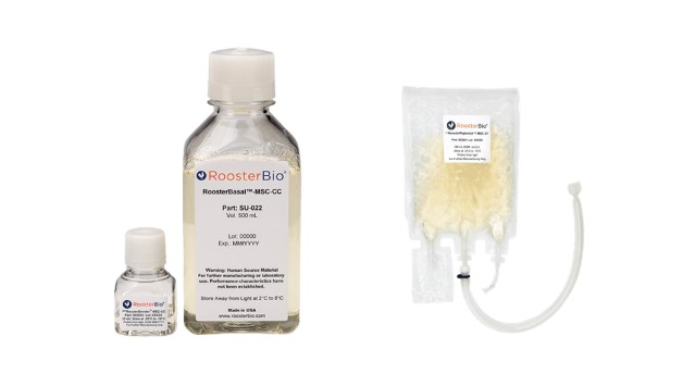 RoosterBio临床级hMSC培养与外泌体生产体系-曼博生物供应