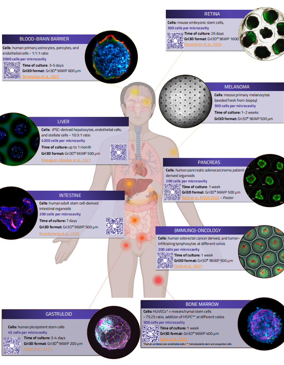 Gri3D水凝胶微腔板应用案例