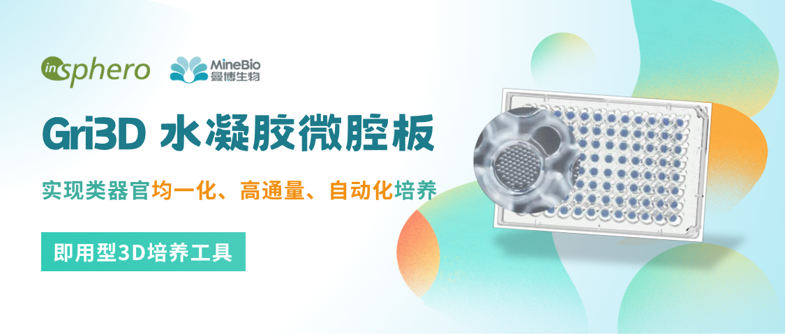 InSphero｜Gri3D水凝胶微腔板，为标准化类器官细胞培养带来更多可能