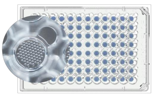 Gri3D水凝胶微腔板/Gri3D Hydrogel MicrocavityPlate