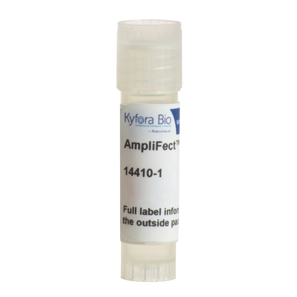 Amplifect Transfection Enhancer