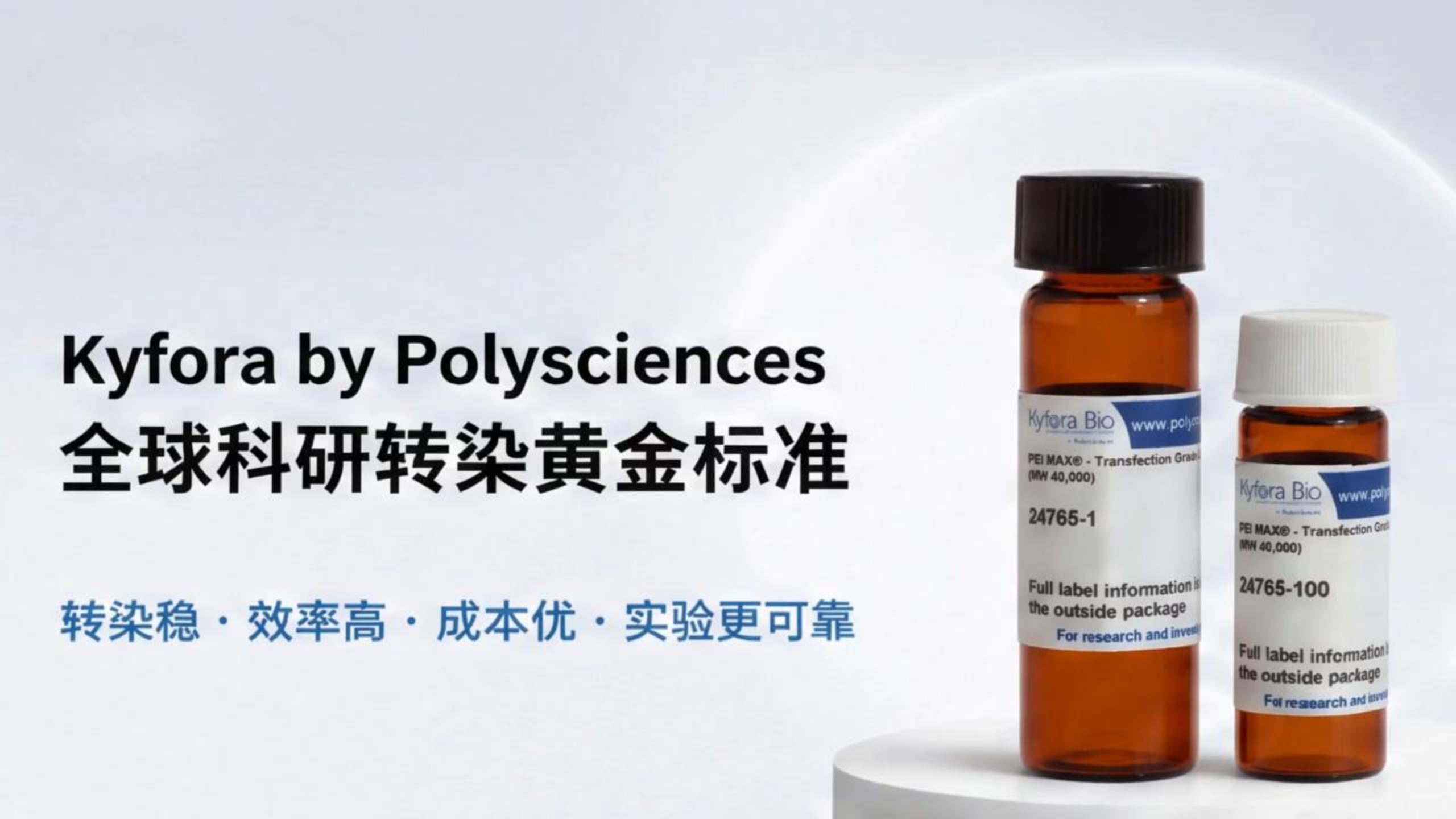 2万+文献验证的PEI转染试剂：高产低毒，HEK293/CHO等细胞转染优选