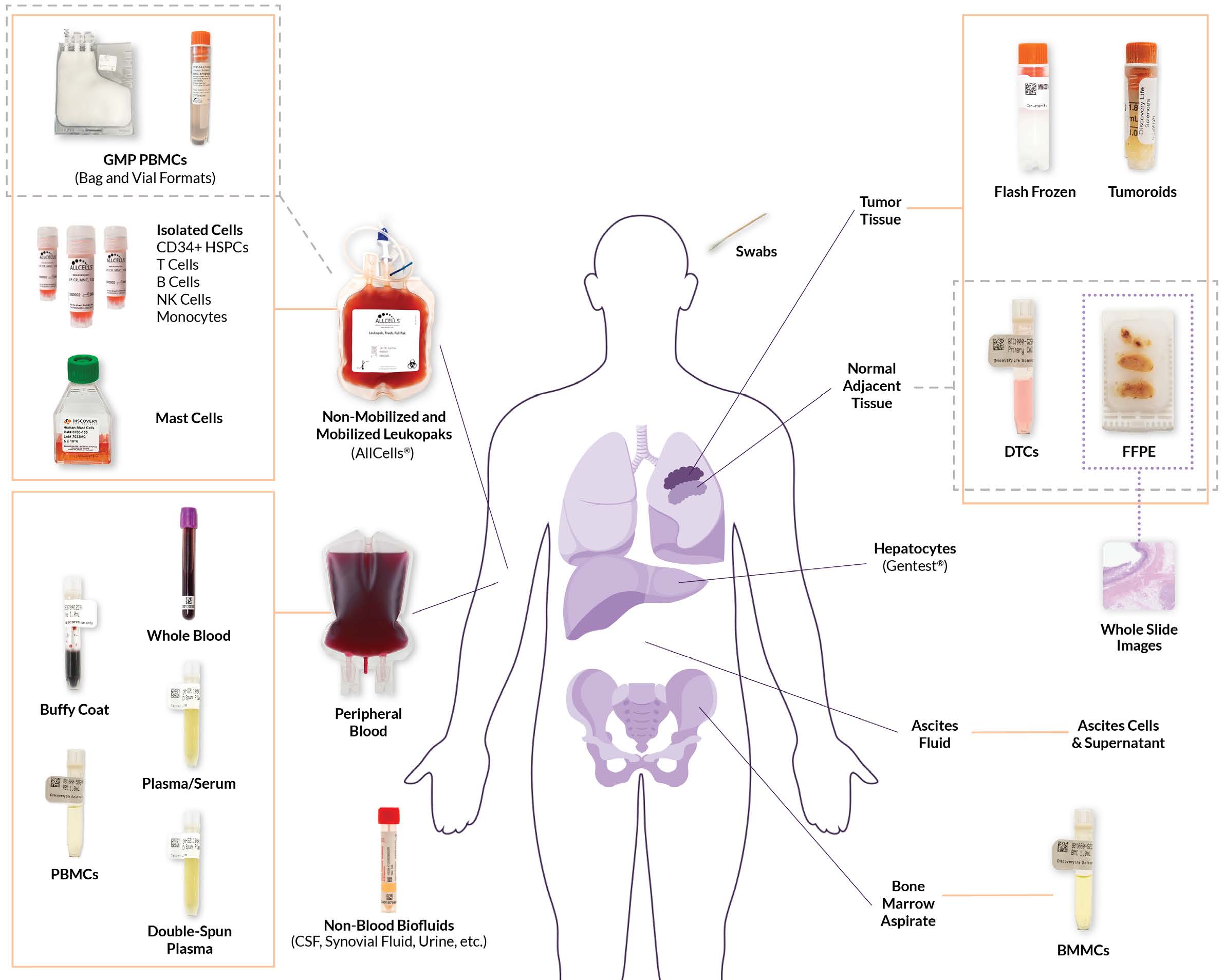 Biospecimens系列-曼博生物供应 Biospecimens系列-曼博生物供应