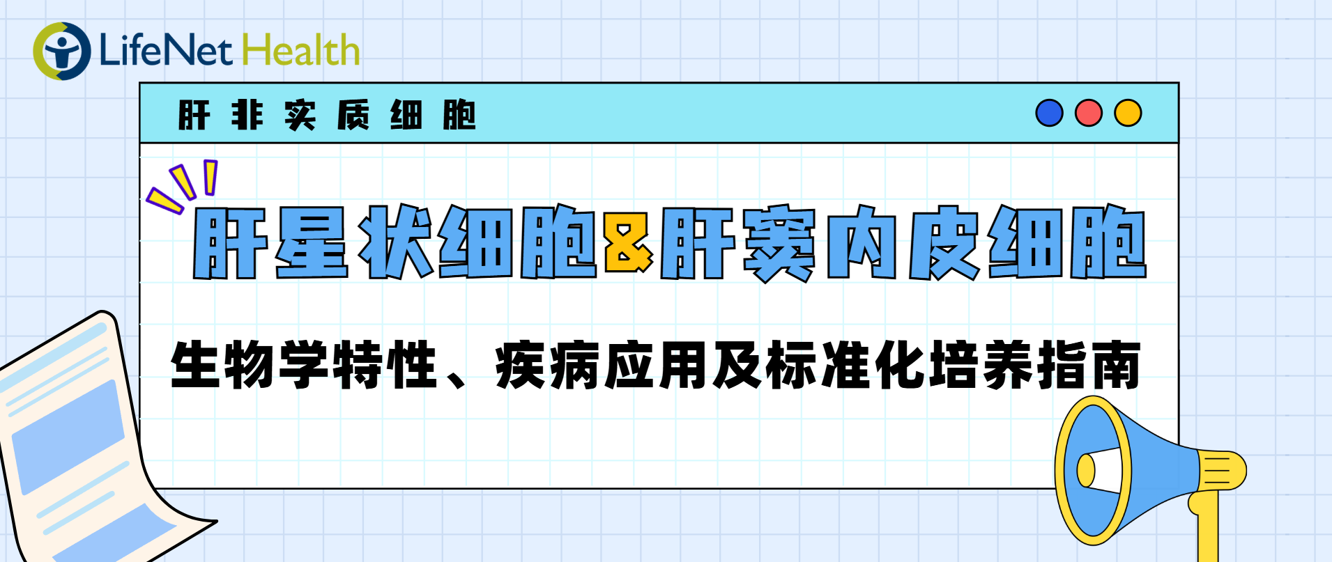 肝非实质细胞｜肝星状细胞与肝窦内皮细胞&mdash;生物学特性、疾病应用及标准化培养指南