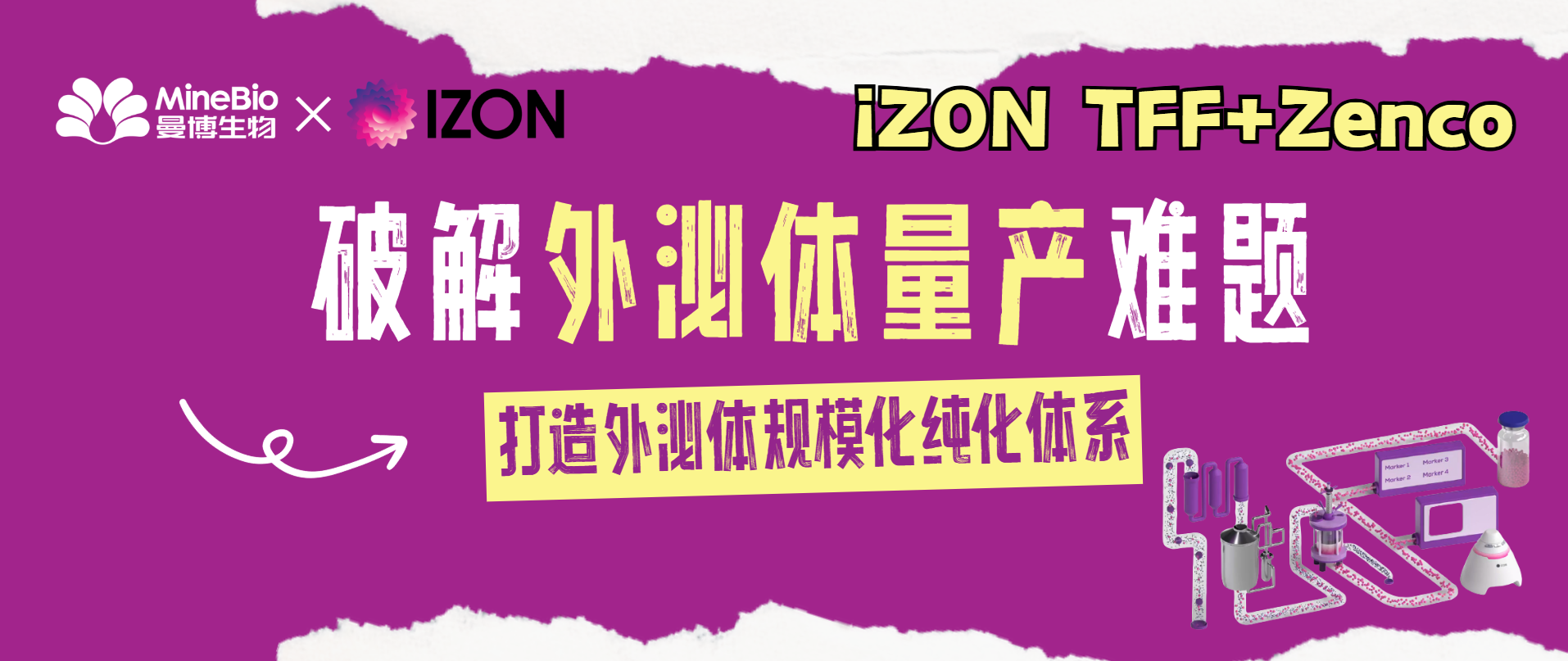 破解外泌体量产难题:iZON TFF+Zenco打造外泌体规模化纯化体系