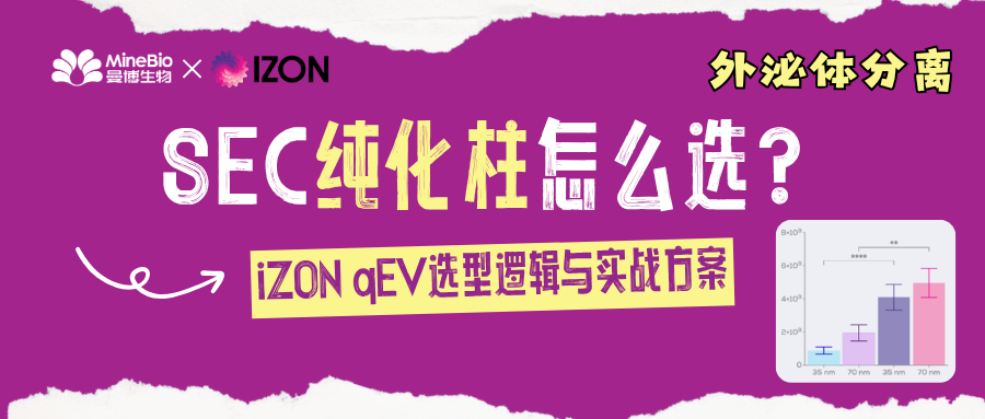 外泌体分离｜SEC 纯化柱怎么选？一文读懂 iZON qEV 系列的选型逻辑与实战方案