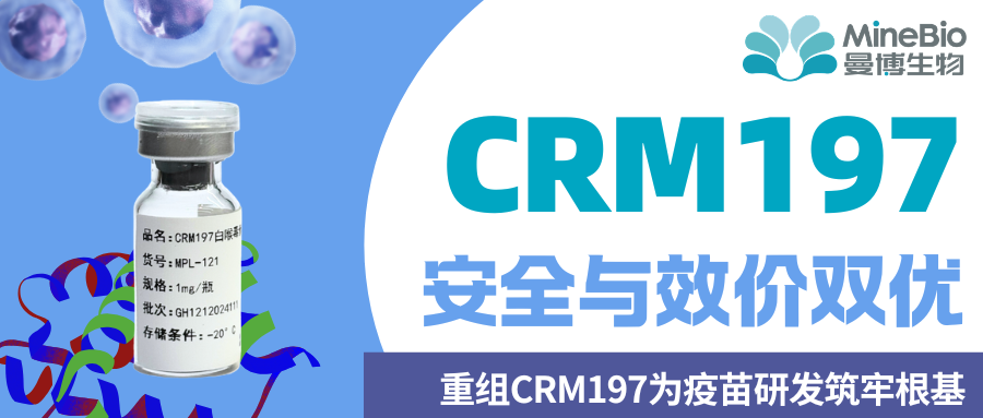 安全与效价双优：重组CRM197为疫苗研发筑牢根基