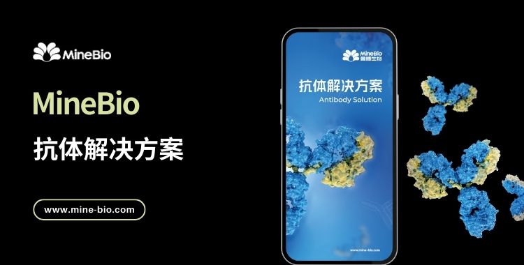 抗体解决方案