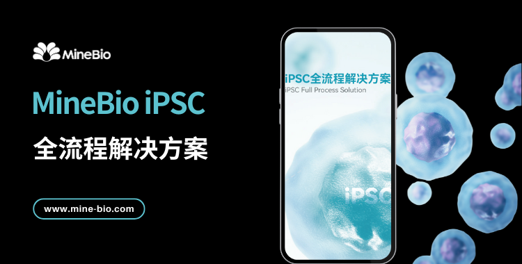 iPSC诱导多能干细胞