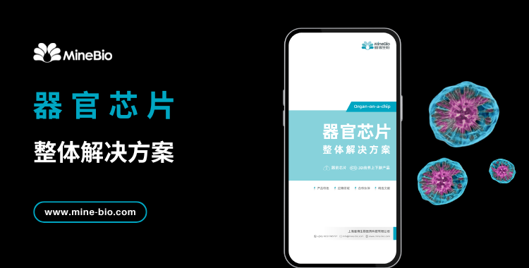 器官芯片整体解决方案