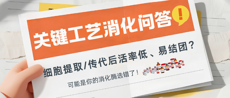 细胞提取/传代后活率低、易结团?可能是你的消化酶选错了!