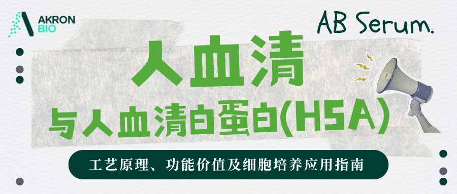 人血清与人血清白蛋白(HSA):工艺原理、功能价值及细胞培养应用指南