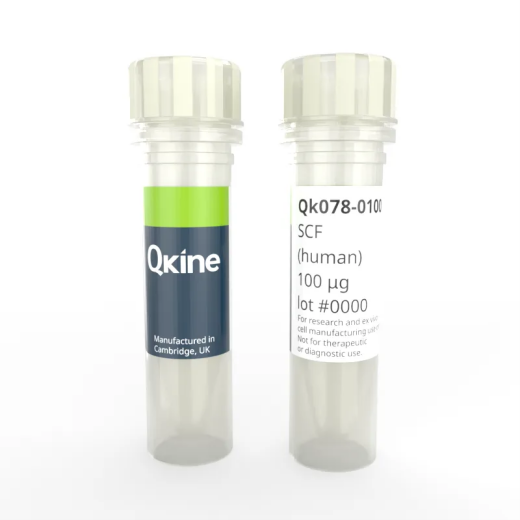 Qkine SCF（Qk078）
