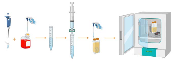 图5.Rocki 使用推荐操作流程