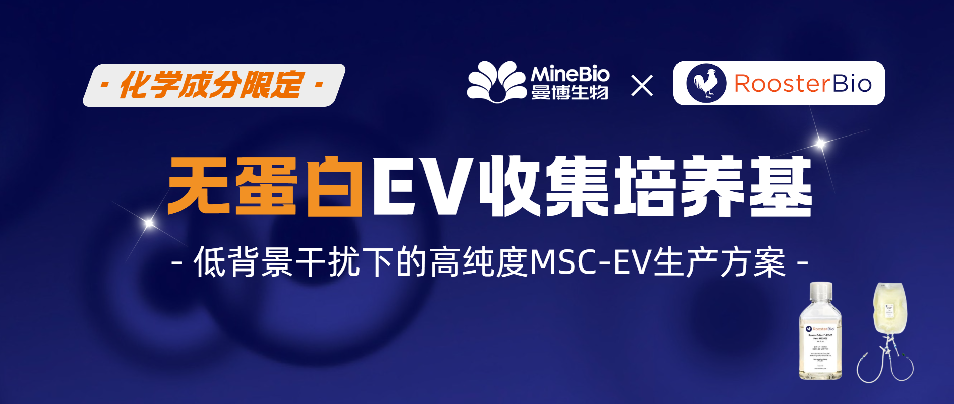 Rooster化学成分限定无蛋白EV收集培养基|低背景干扰下的高纯度MSC-EV生产方案