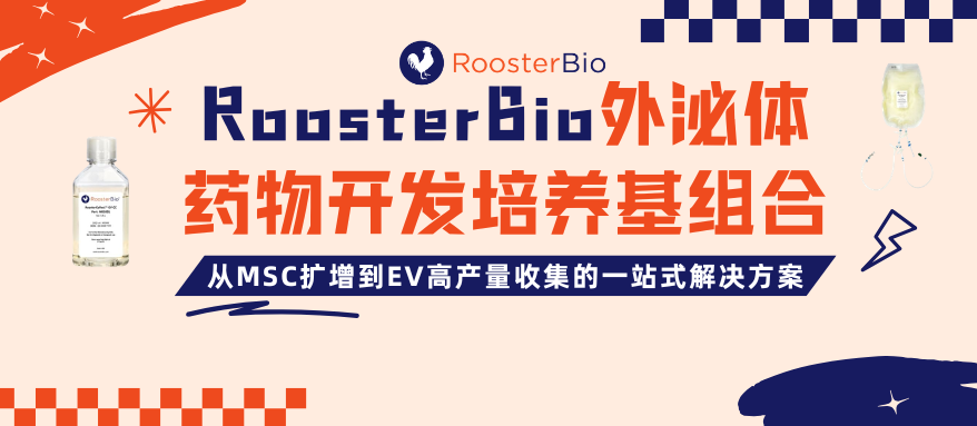 RoosterBio外泌体药物开发培养基组合｜从MSC扩增到EV高产量收集的一站式解决方案